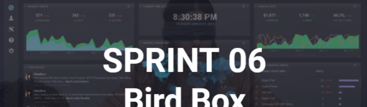 Sprint 6 – Bird Box