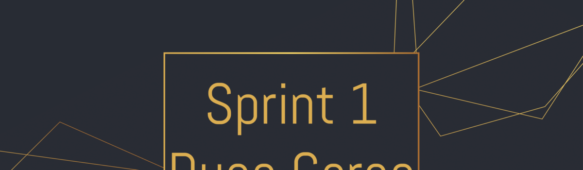 Sprint 1 – Duas Caras
