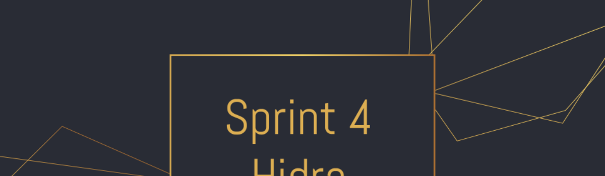 Sprint 4 – Hidra
