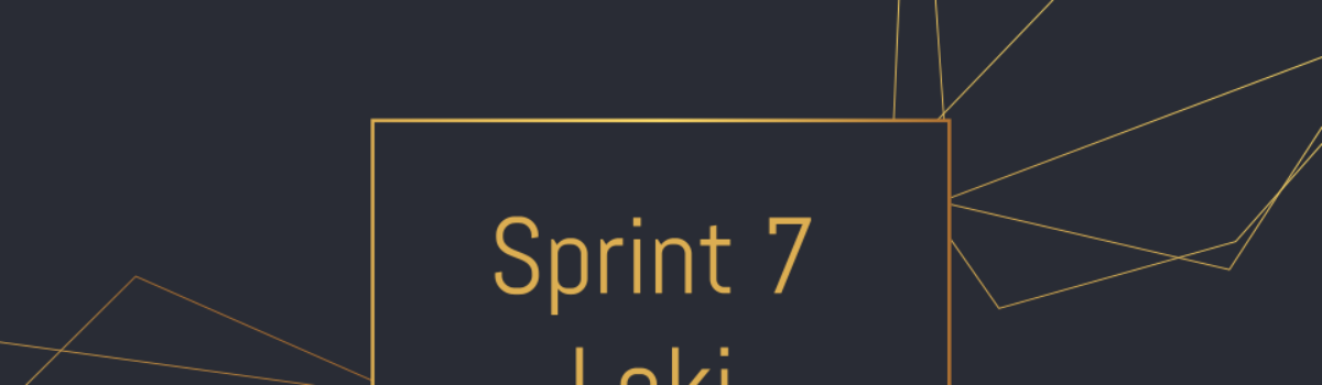 Sprint 7 – Loki