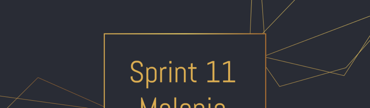 Sprint 11 – Malenia