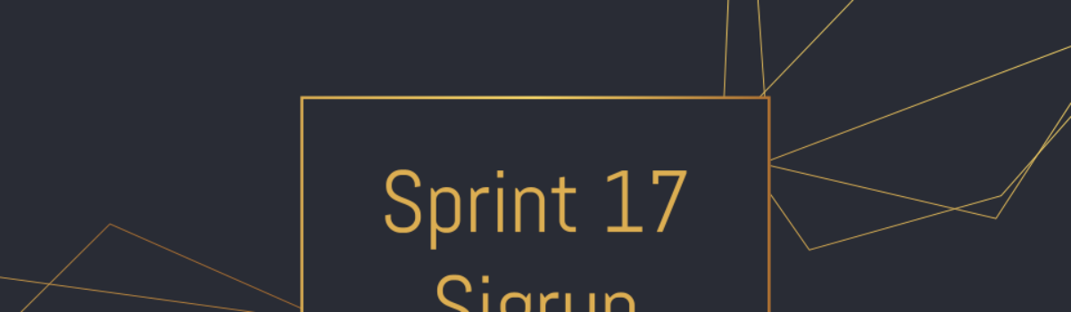 Sprint 17 – Sigrun